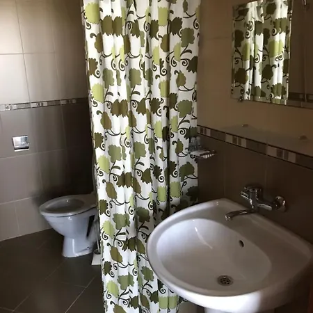 Guest house Family Astra Chernomorets