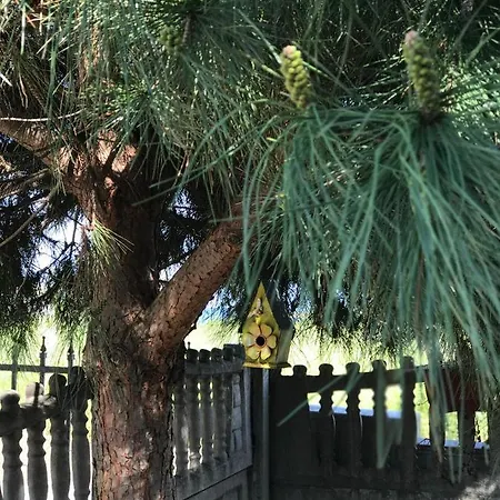 Family Astra Otel 3*