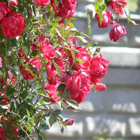 семеен астра Хотел 3*